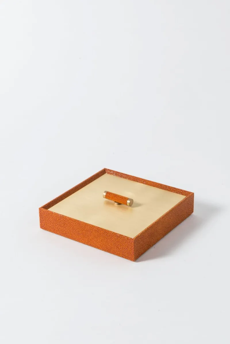 New Pamono 26 Iside Box from Pinetti