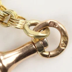 Pamono 14 Karat Gold Pocket Watch with Repeater from Reyem Frères Locle, Switzerland, 1900s><noscript><img width=