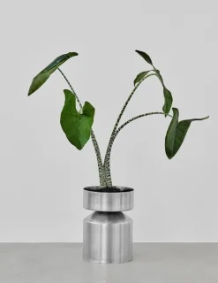Pamono Ada Raw Small Planter by Llot Llov