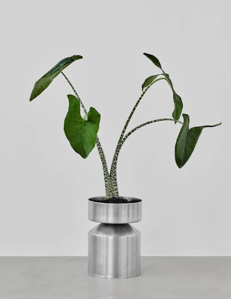 Pamono Ada Raw Small Planter by Llot Llov