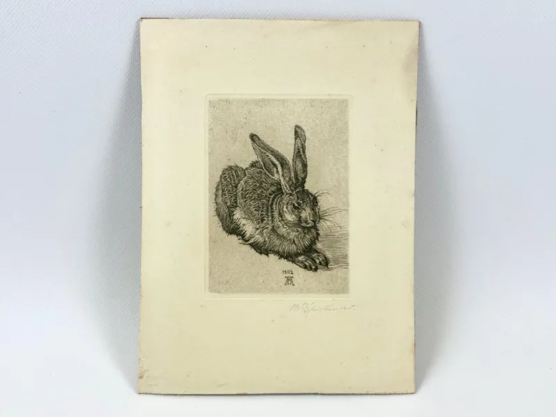 Pamono After Albrecht Dürer, Young Hare, Copperplate Engraving, 19th Century> Classical