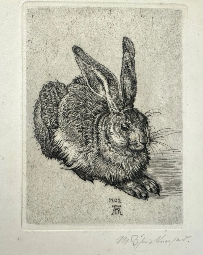 Pamono After Albrecht Dürer, Young Hare, Copperplate Engraving, 19th Century> Classical
