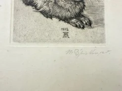 Pamono After Albrecht Dürer, Young Hare, Copperplate Engraving, 19th Century><noscript><img width=