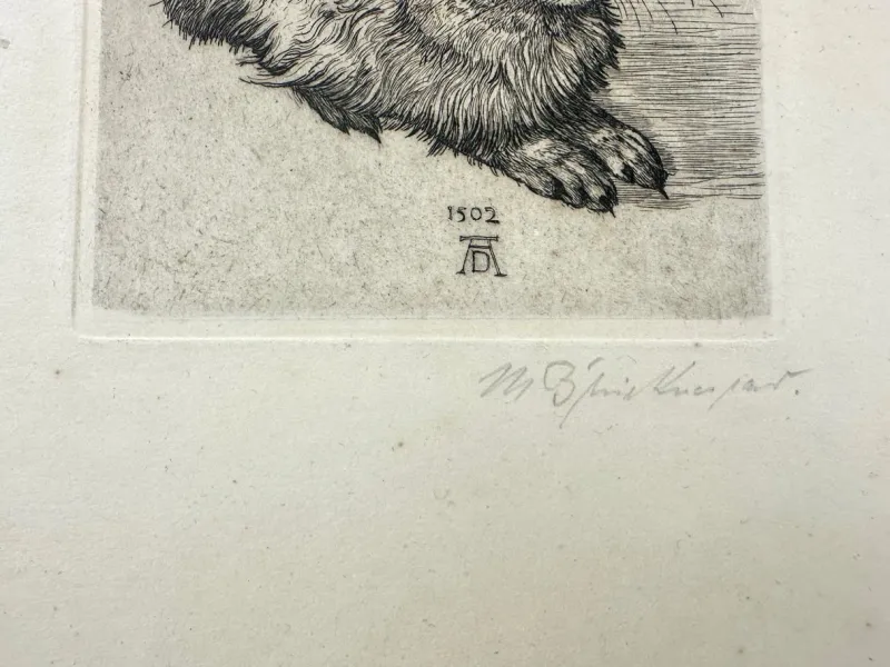 Pamono After Albrecht Dürer, Young Hare, Copperplate Engraving, 19th Century> Classical