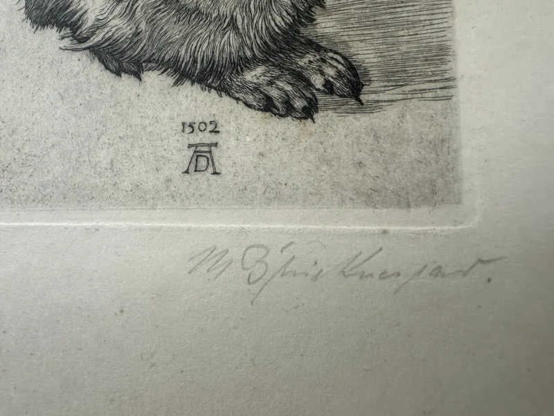 Pamono After Albrecht Dürer, Young Hare, Copperplate Engraving, 19th Century> Classical