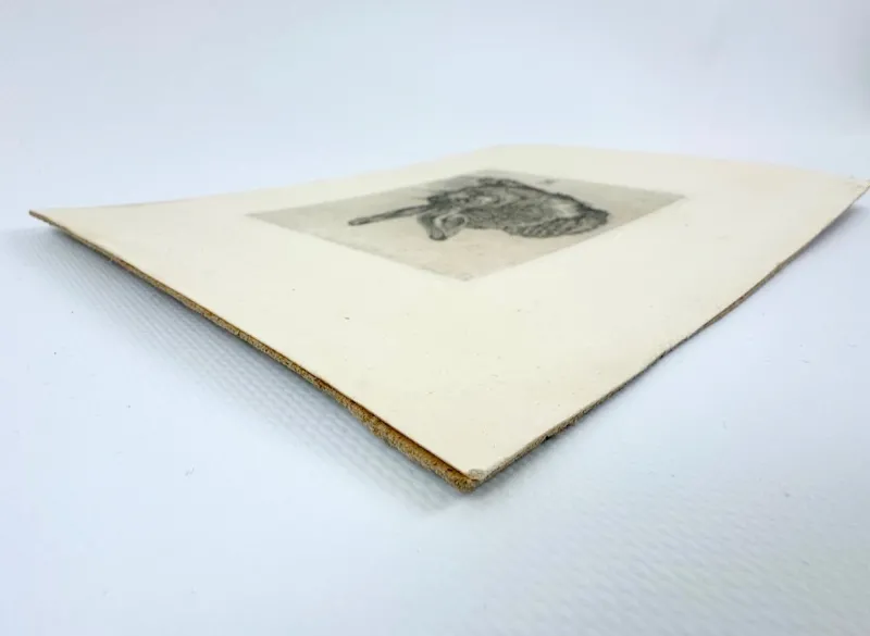Pamono After Albrecht Dürer, Young Hare, Copperplate Engraving, 19th Century> Classical