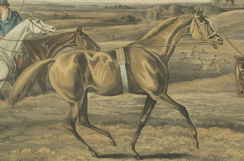 Pamono After Alken, High Mettled Racer: In Training, 19th Century, Print> Prints & Multiples