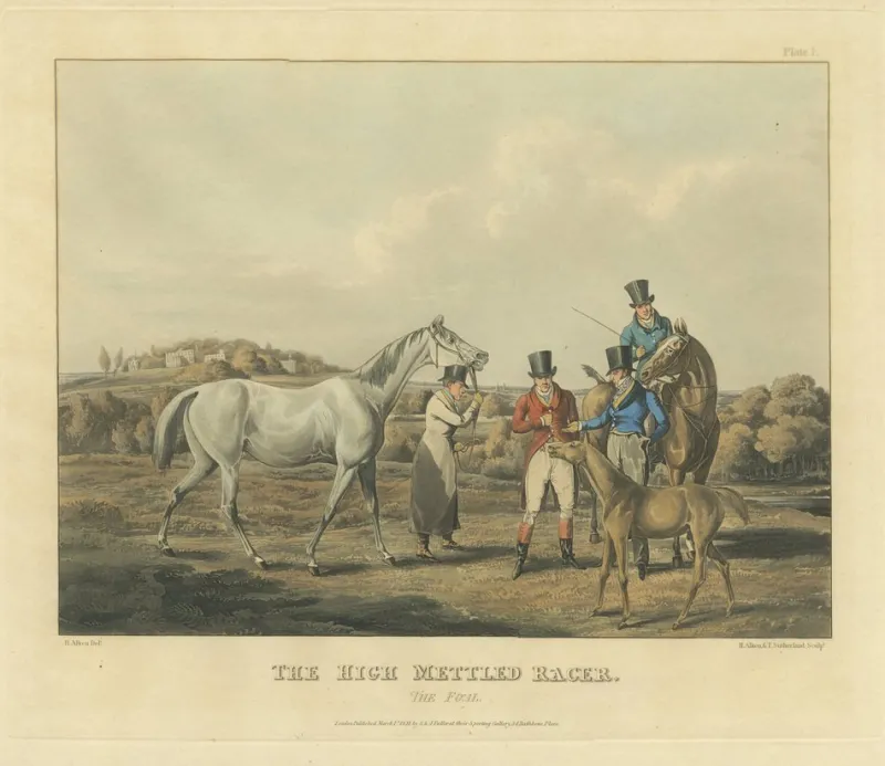 Sale Pamono After Alken, High Mettled Racer: The Foal, 19th Century, Print
