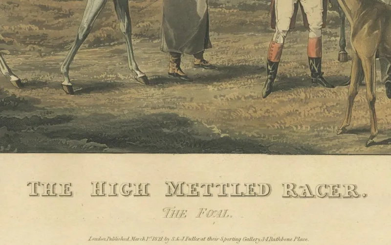 Sale Pamono After Alken, High Mettled Racer: The Foal, 19th Century, Print