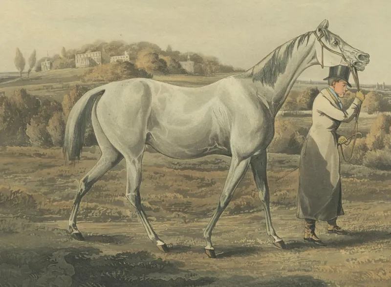 Sale Pamono After Alken, High Mettled Racer: The Foal, 19th Century, Print