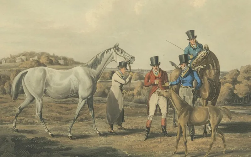 Sale Pamono After Alken, High Mettled Racer: The Foal, 19th Century, Print