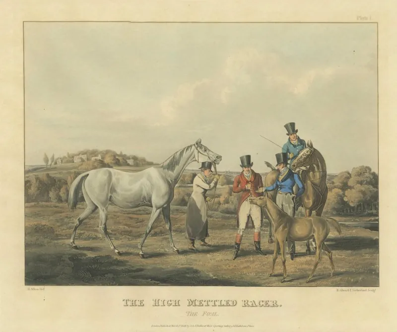 Sale Pamono After Alken, High Mettled Racer: The Foal, 19th Century, Print