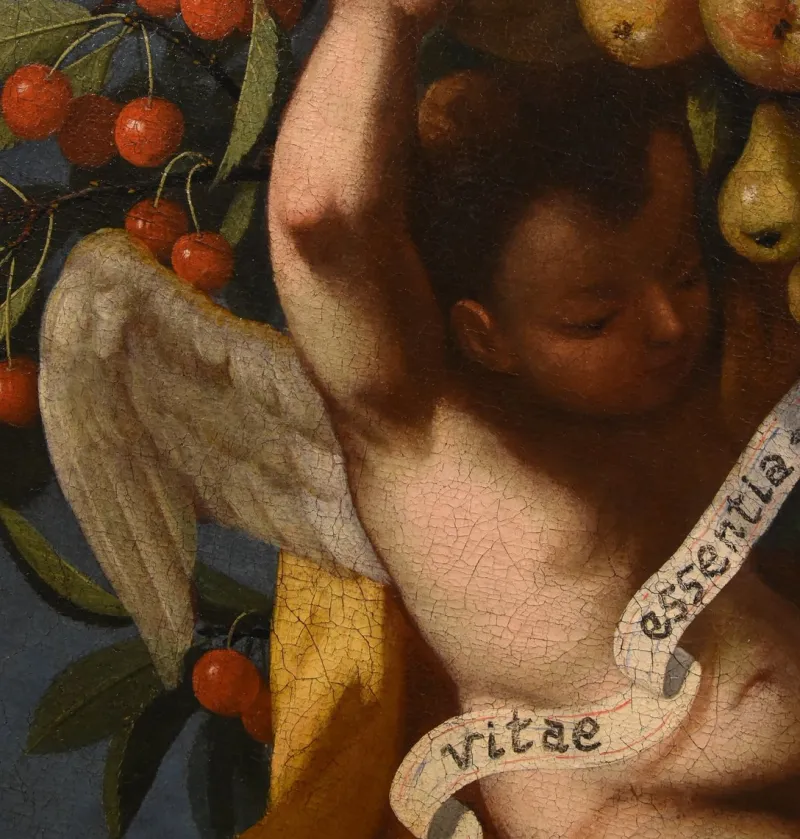 Pamono After Luigi Garzi, Angels, Flowers & Fruit, 1700, Oil on Canvas> Old Masters|Classical