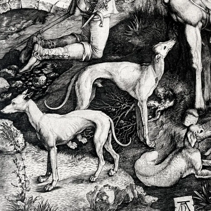 Pamono Albrecht Dürer, Horse, Engraving, 1501> Classical
