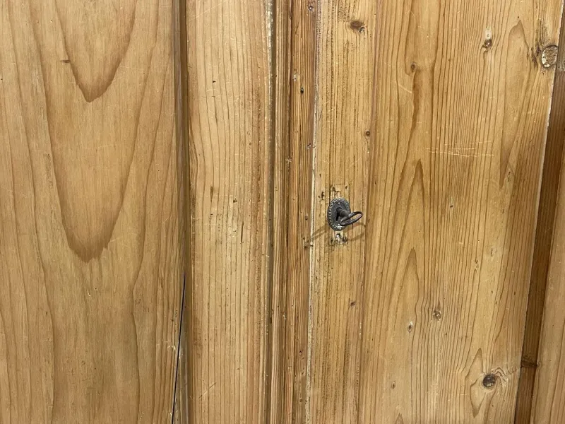 New Pamono Alsatian Fir Wardrobe, 1800s