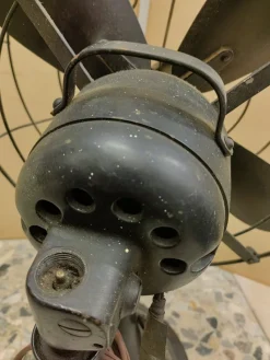 New Pamono American Swivel Fan from Diehl, 1920s