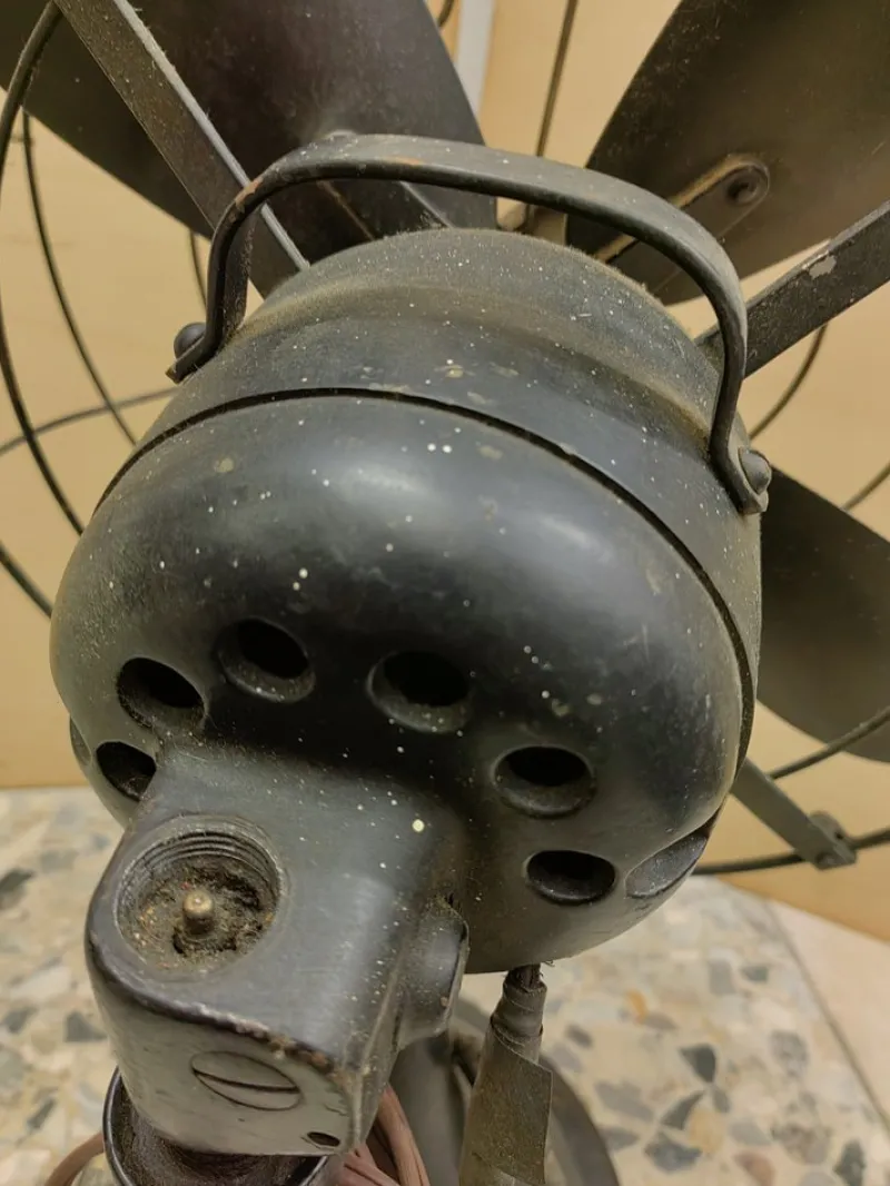 New Pamono American Swivel Fan from Diehl, 1920s