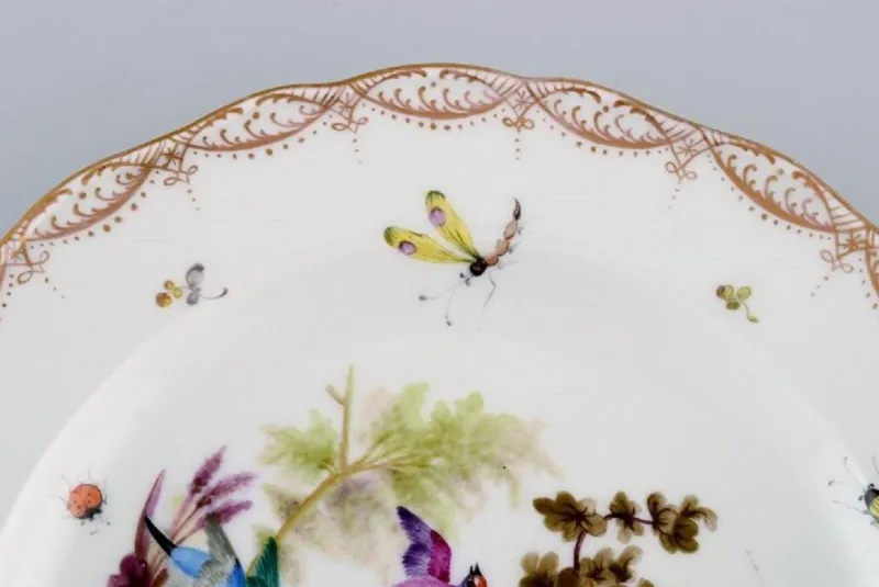 Hot Pamono Antique and Meissen Porcelain Plate with Hand-Painted Birds and Insects