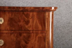 Pamono Antique Biedermeier Chest of Drawers in Mahogany, 1830><noscript><img width=