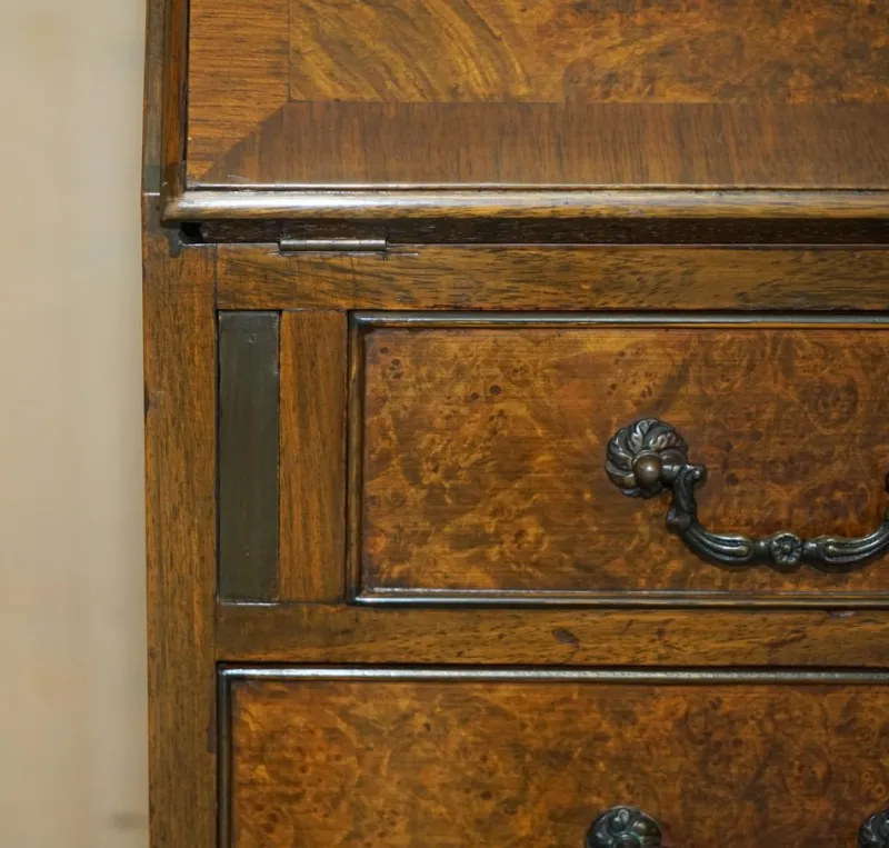 Pamono Antique Burr and Burl Walnut Secretaire, 1900s> Secretaires