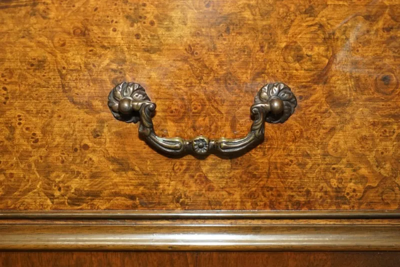 Pamono Antique Burr and Burl Walnut Secretaire, 1900s> Secretaires