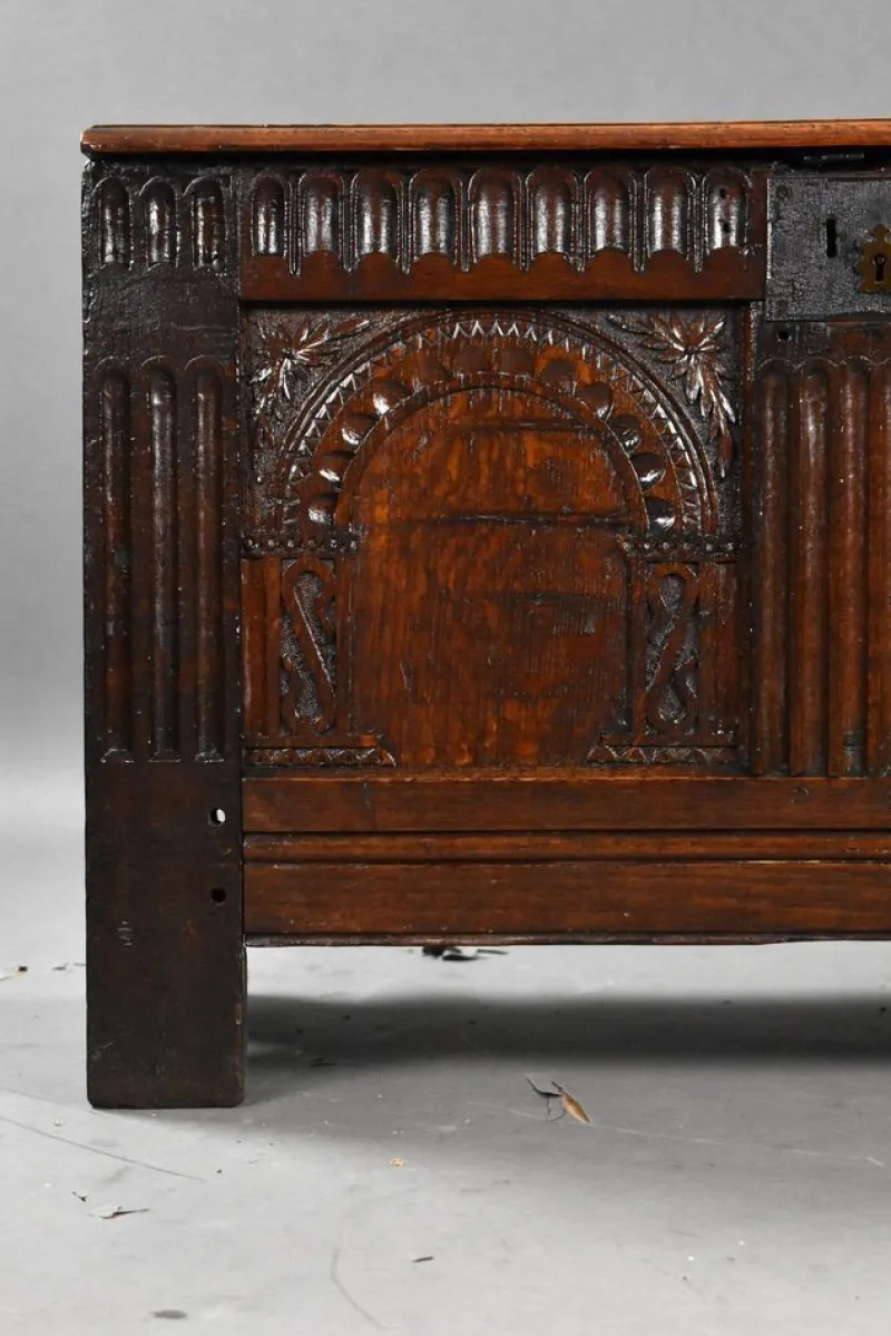 New Pamono Antique Carved Oak Coffer, 1700s