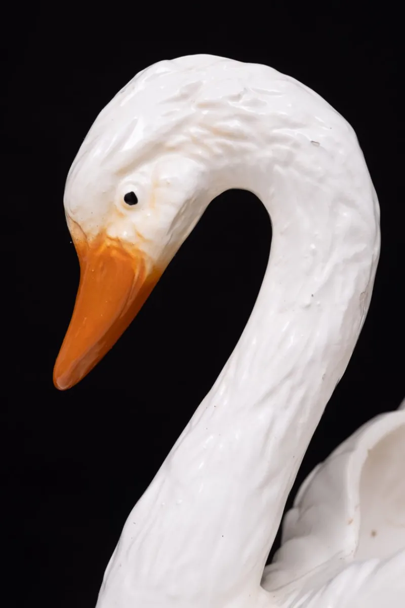 Pamono Antique Ceramic Swan Jardiniere from Capodimonte, 1880> Planters And Jardiniere