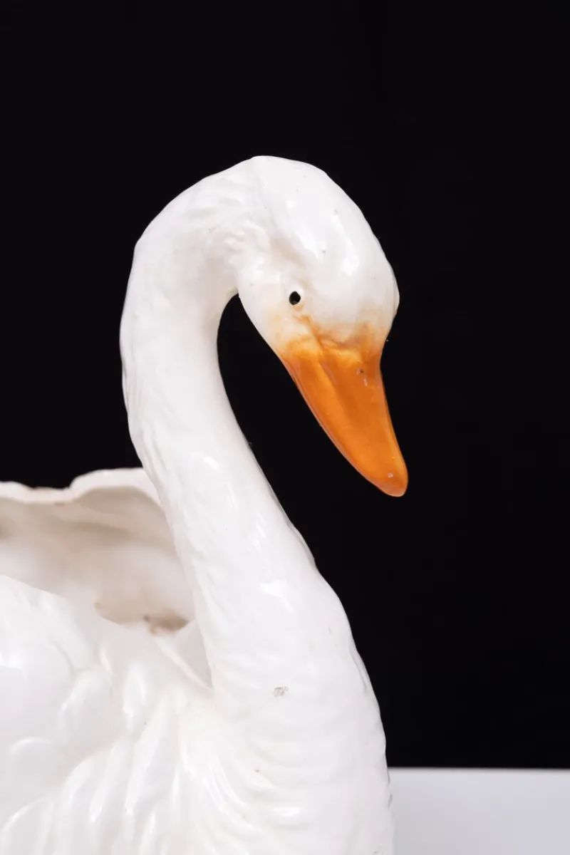 Pamono Antique Ceramic Swan Jardiniere from Capodimonte, 1880> Planters And Jardiniere