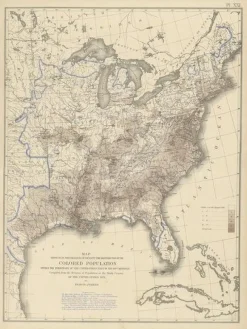 Pamono Antique Chart of the US, 1874> Wall Decor