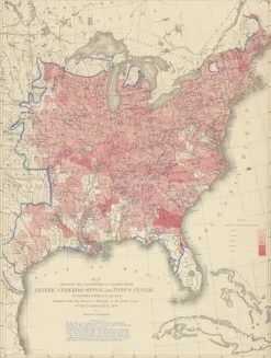 Sale Pamono Antique Chart of the Us Enteric, Cerebro-Spinal, Typhus Deaths, 1874