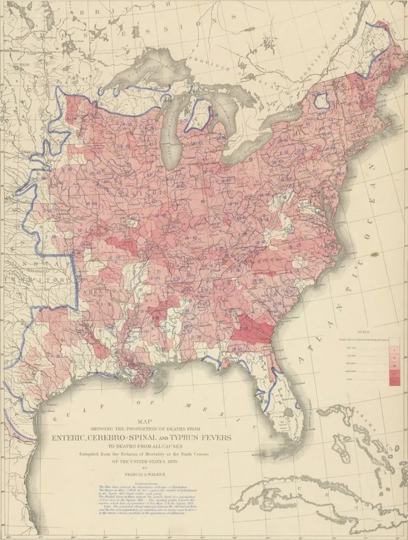 Sale Pamono Antique Chart of the Us Enteric, Cerebro-Spinal, Typhus Deaths, 1874