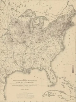 Pamono Antique Chart of the US Foreign Population in 1870
