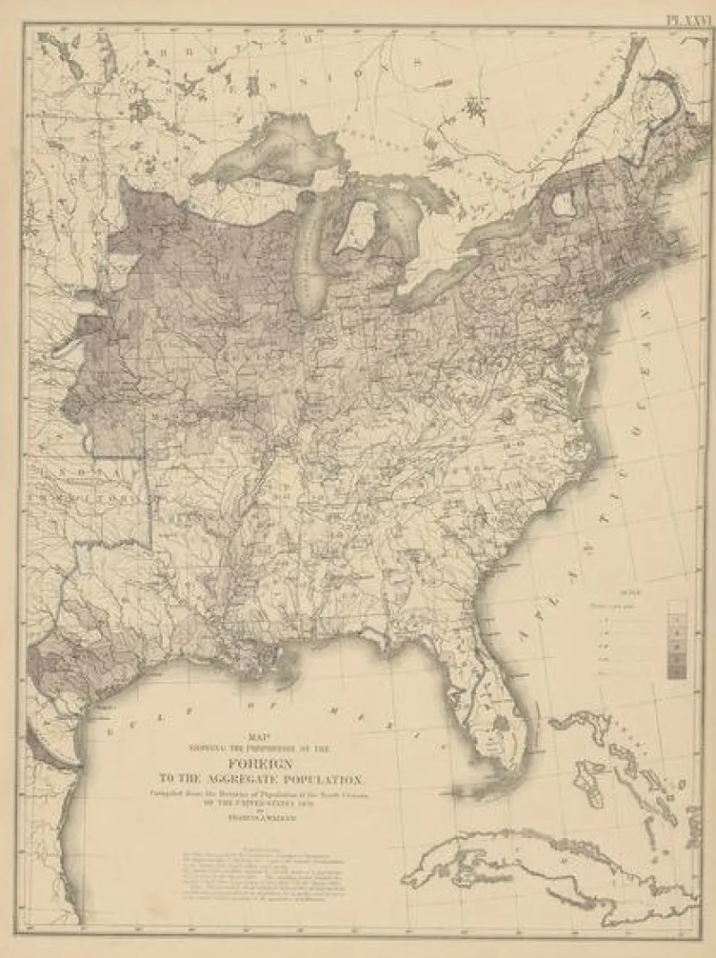 Pamono Antique Chart of the US Foreign Population Proportion in 1870, 1874> Wall Decor