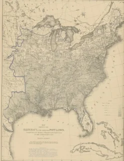 Discount Pamono Antique Chart of the US Illiteracy, 1874