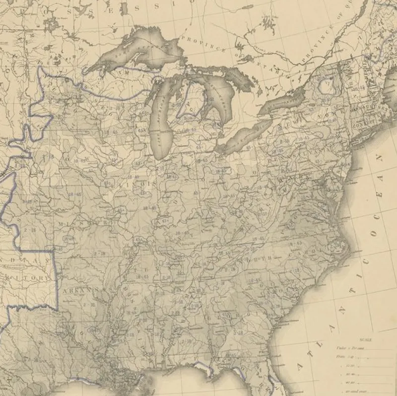 Discount Pamono Antique Chart of the US Illiteracy, 1874
