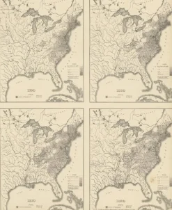 Pamono Antique Chart of the US Population 1790-1820 by Walker, 1874> Wall Decor