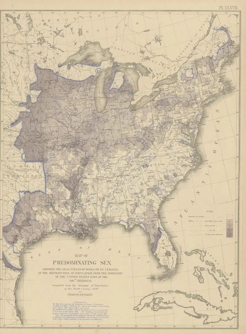 Pamono Antique Chart of the US Predominating Sex, 1874> Wall Decor