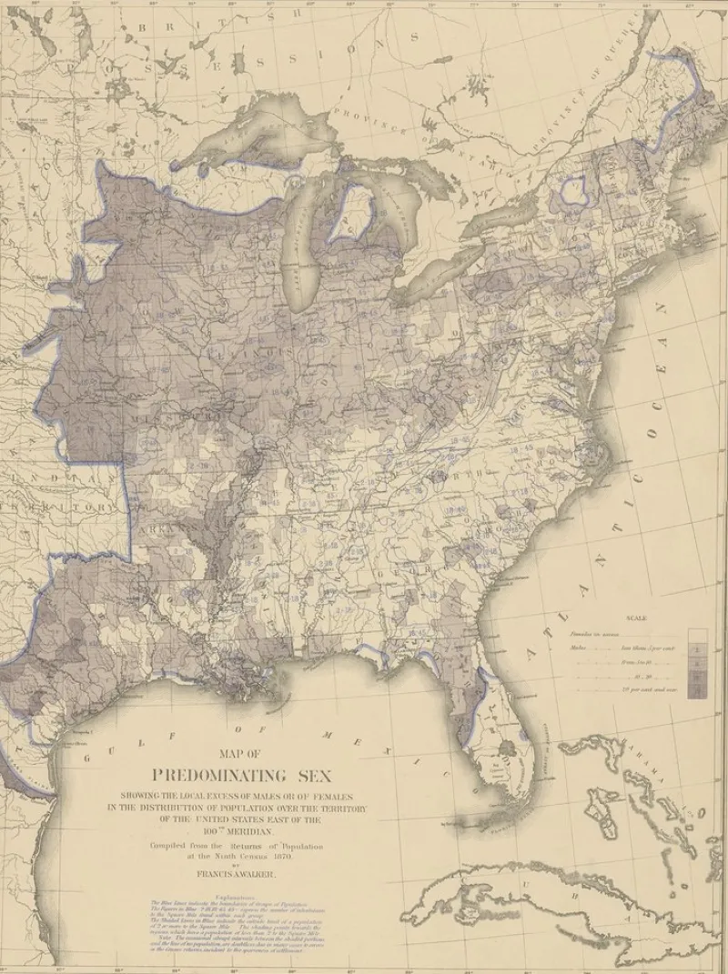 Pamono Antique Chart of the US Predominating Sex, 1874> Wall Decor