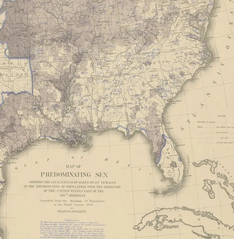 Pamono Antique Chart of the US Predominating Sex, 1874> Wall Decor