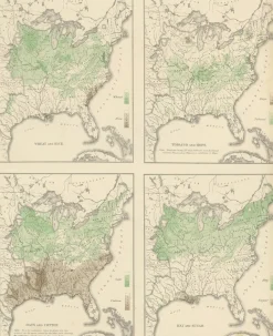 Pamono Antique Chart of US Crops, Wheat, Rice, Tobacco, Hops, and Oats, 1874