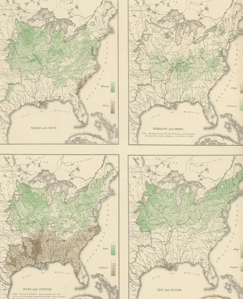 Pamono Antique Chart of US Crops, Wheat, Rice, Tobacco, Hops, and Oats, 1874