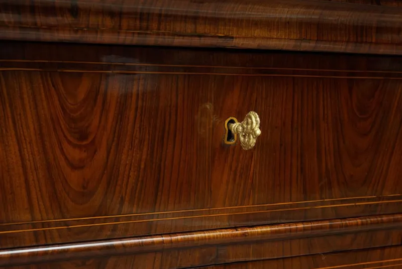Pamono Antique Empire Lucchese Chest of Drawers in Walnut Burl, 19th Century> Work On Paper