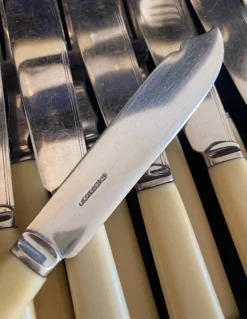 Pamono Antique Fish Cutlery Set in Original Case by Finnigans, 1890s><noscript><img width=