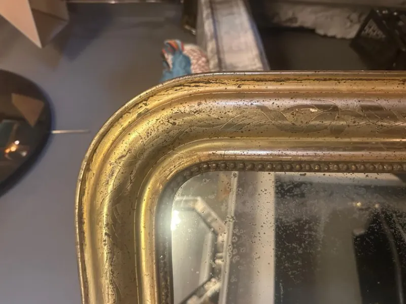 New Pamono Antique French Louis Philippe Domed Topped Gold Gilt Mirror, 1850