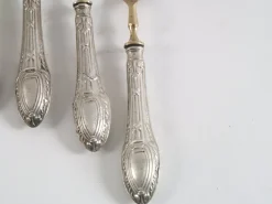 Pamono Antique French Silvered Brass Cutlery, 1700s, Set of 10><noscript><img width=