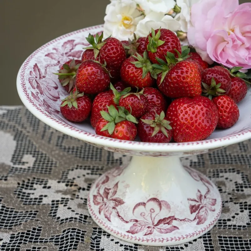 Clearance Pamono Antique French Transferware Footed Plate Cerise from Badonviller, 1890s