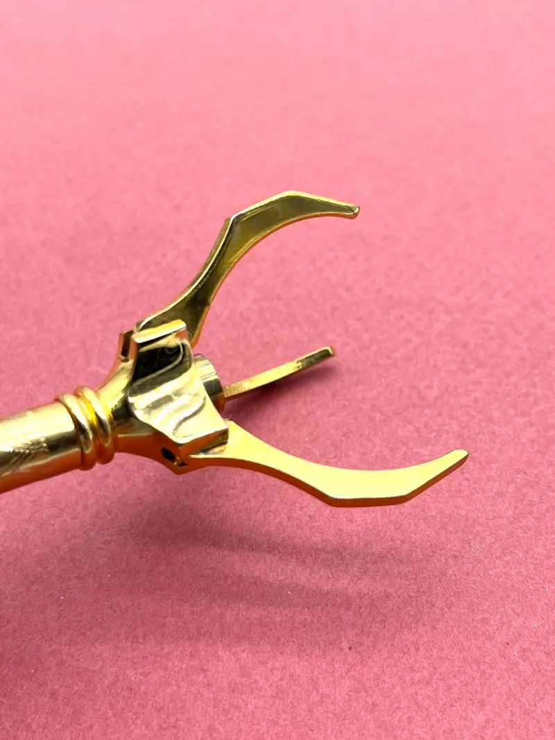 Hot Pamono Antique Gold-Plated Sugar Tongs with Decorated Handle, 1890s