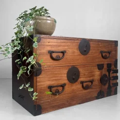 Online Pamono Antique Japanese Meiji Tansu Chest of Drawers, 1900s