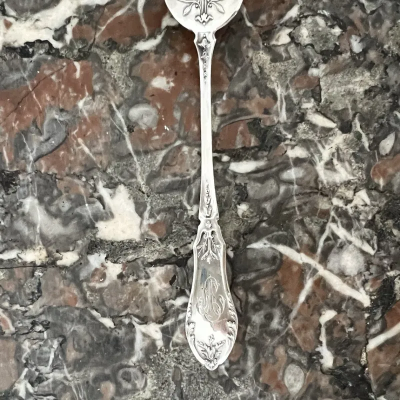 Online Pamono Antique Louis XV Style Oyster Forks in Silver, 1890s, Set of 12