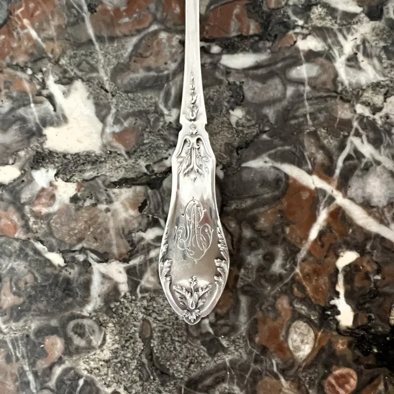 Online Pamono Antique Louis XV Style Oyster Forks in Silver, 1890s, Set of 12